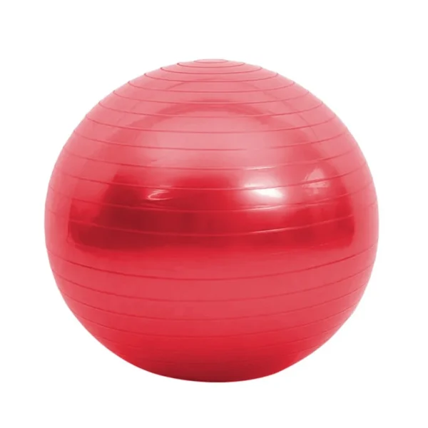 Fitness Balls Yoga Ball Thickened Explosion-proof Exercise Home Gym Pilates Equipment Balance Ball - Image 7